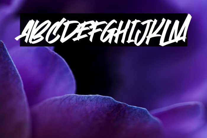 Stoopid Markers Example 3