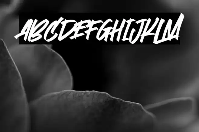 Stoopid Markers Font examples