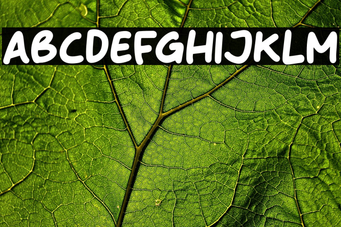 Stop Bullying Example 2