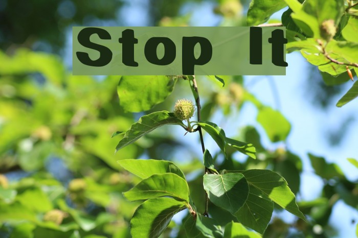 Stop It Font examples