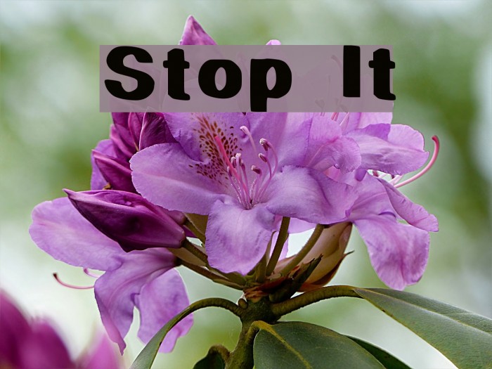 Stop It Font examples