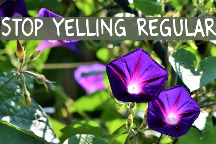 stop yelling regular 字体