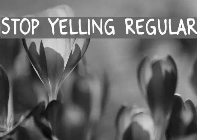 Stop Yelling Regular Font examples