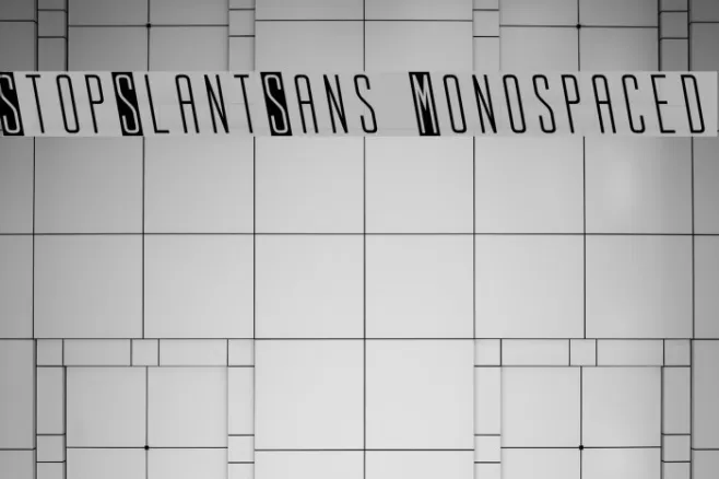 StopSlantSans Monospaced Example 1