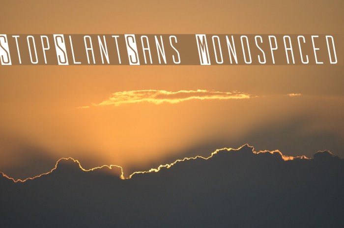 StopSlantSans Monospaced Font examples