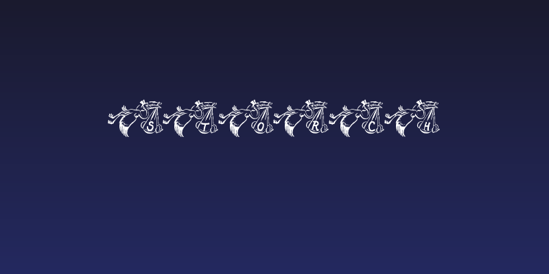 Storch Social Header