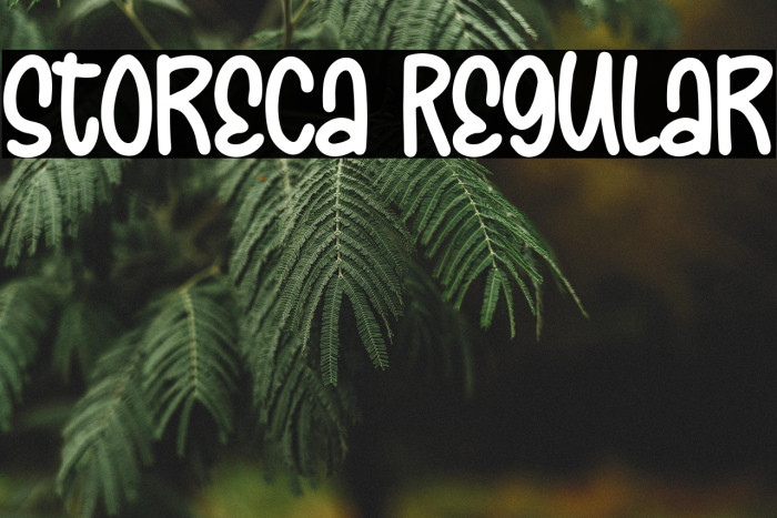 Storeca Regular Example 1