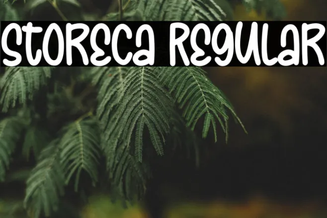 Storeca Regular Example 1