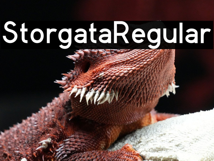 StorgataRegular Example 1