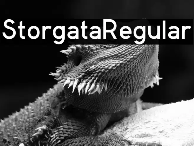 StorgataRegular Font examples