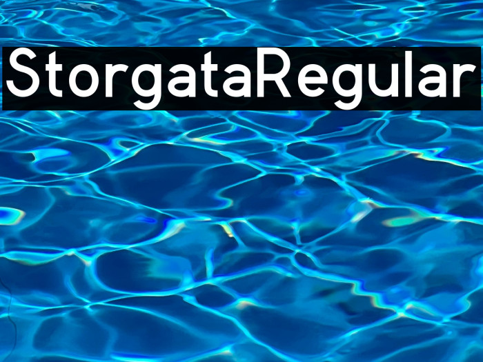 StorgataRegular Example 2