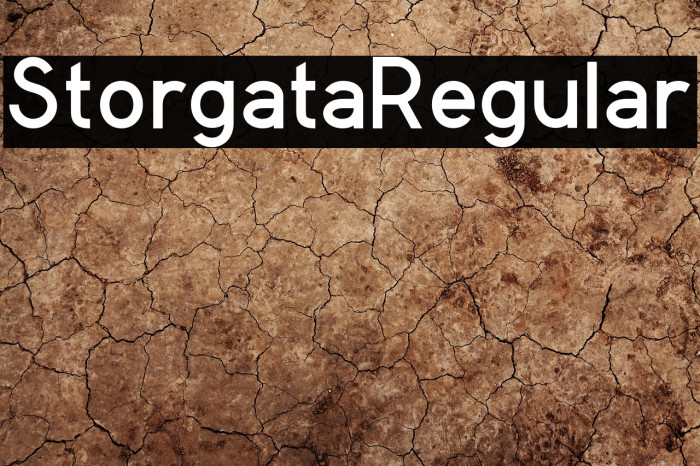 StorgataRegular Example 3