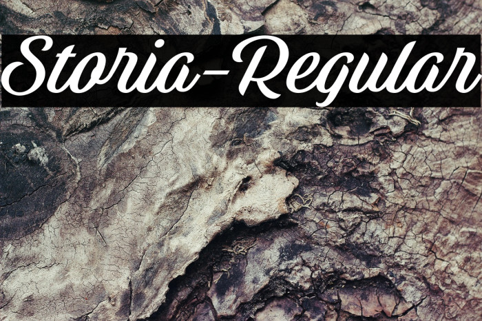 Storia-Regular Example 1