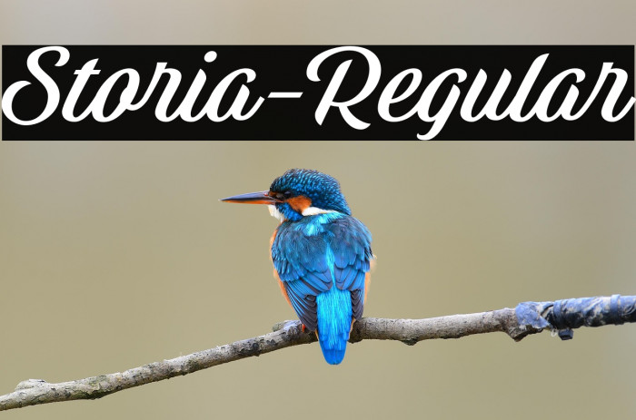 Storia-Regular Example 3