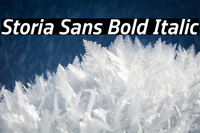 Storia Sans Bold Italic Example 1
