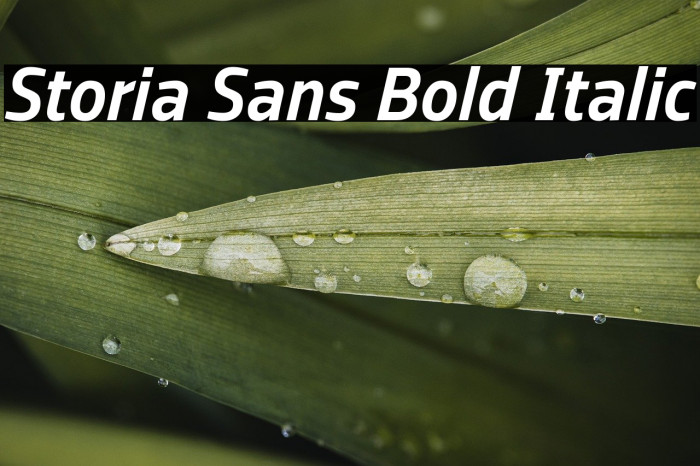 Storia Sans Bold Italic Example 2
