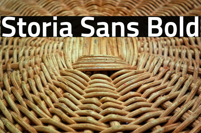 Storia Sans Bold Example 1