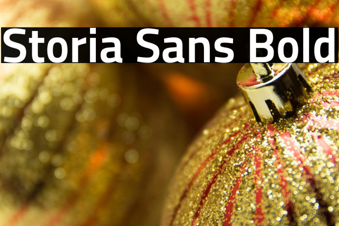 Storia Sans Bold Example 3