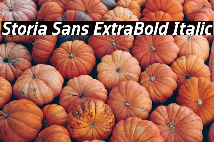 Storia Sans ExtraBold Italic Example 2