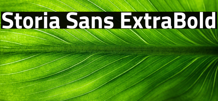 Storia Sans ExtraBold Example 2