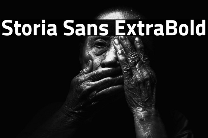 Storia Sans ExtraBold Example 3
