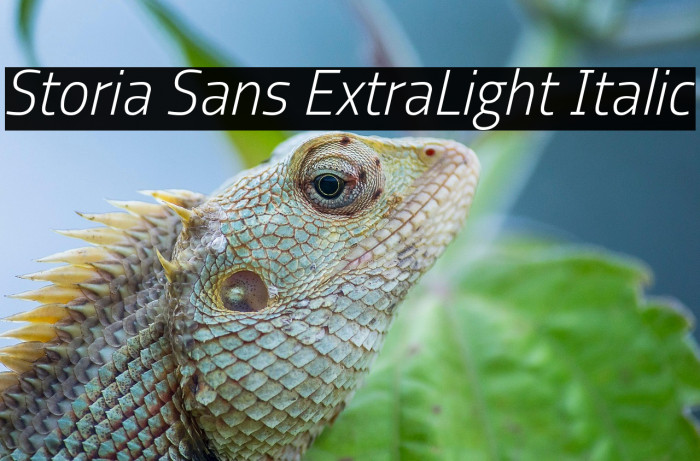 Storia Sans ExtraLight Italic Example 1