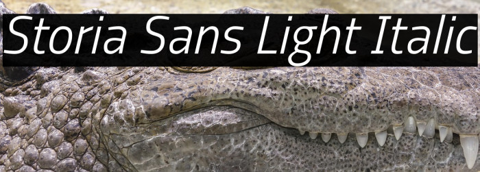 Storia Sans Light Italic Example 3