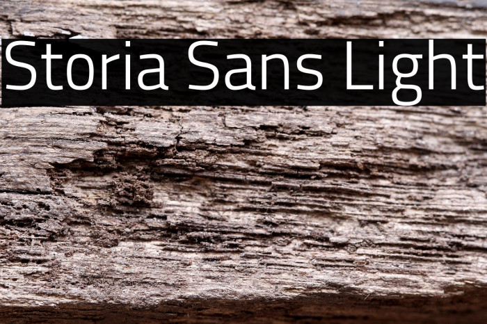 Storia Sans Light Example 1