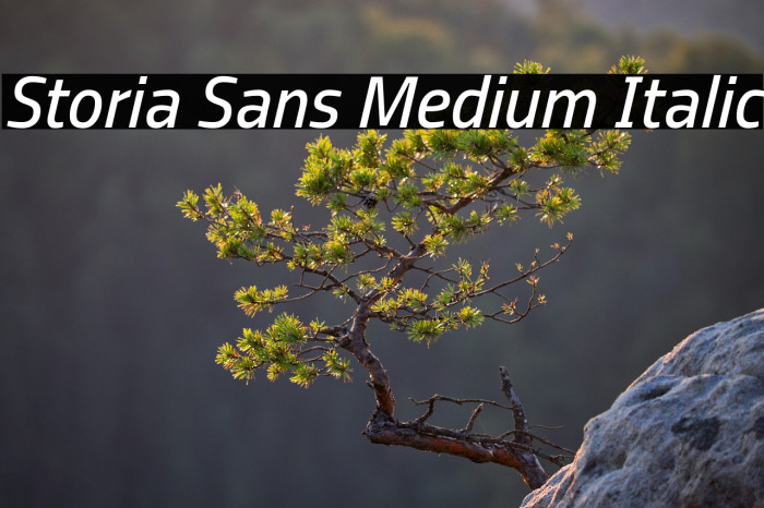 Storia Sans Medium Italic Example 2