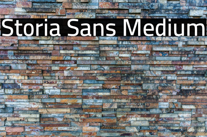Storia Sans Medium Example 1