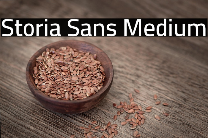Storia Sans Medium Example 2