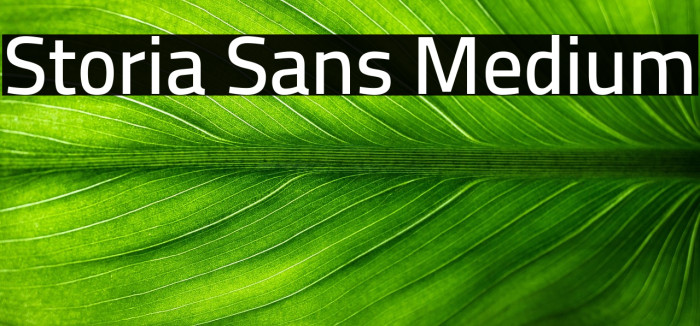 Storia Sans Medium Example 3