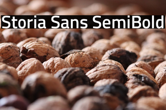 Storia Sans SemiBold Example 2