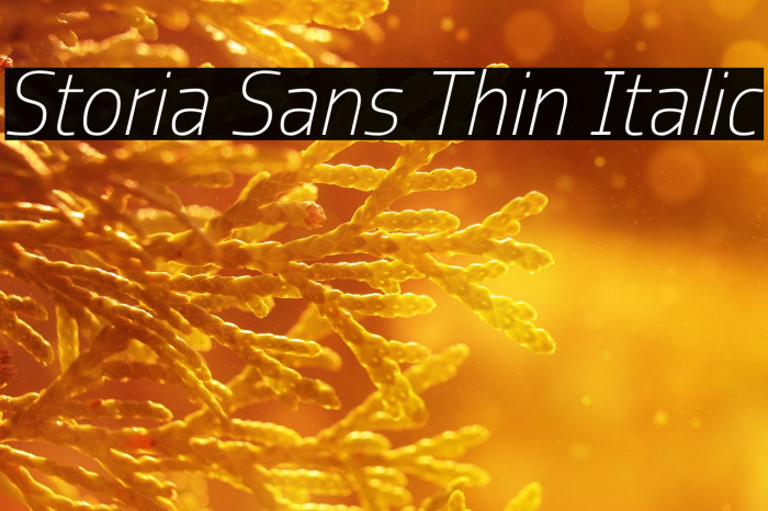 Storia Sans Thin Italic Example 1