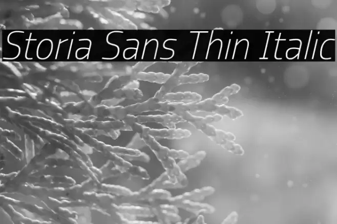 Storia Sans Thin Italic Font examples