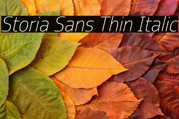 Storia Sans Thin Italic Example 3