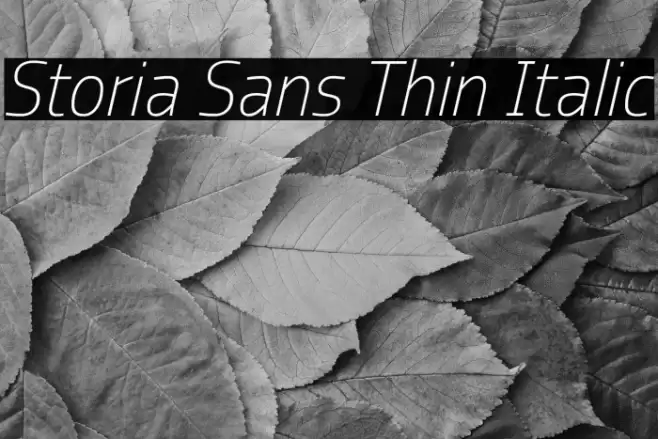 Storia Sans Thin Italic Font examples