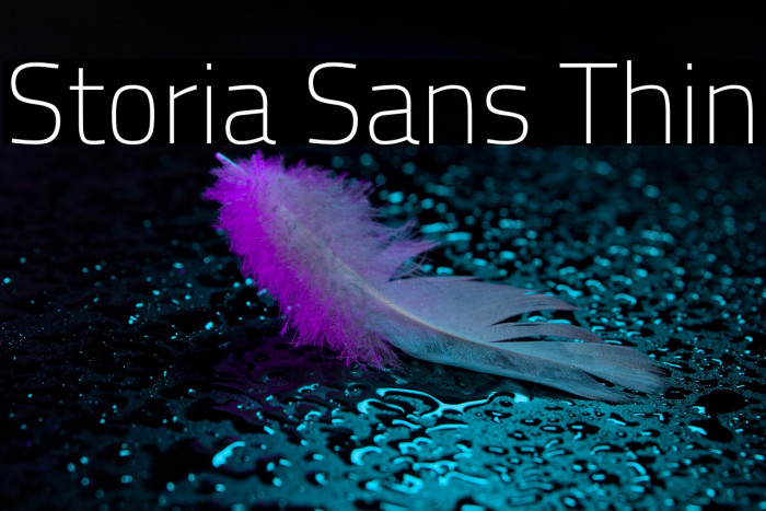 Storia Sans Thin Example 1