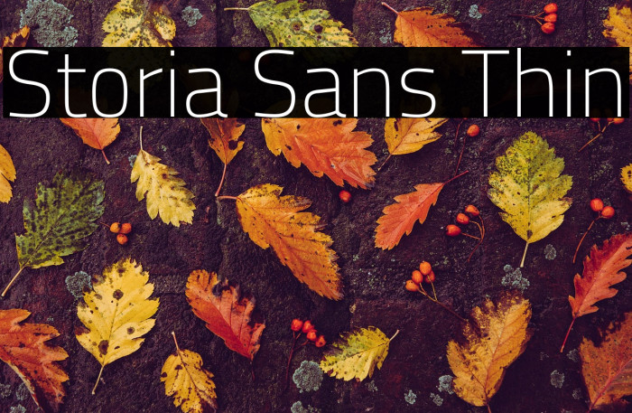 Storia Sans Thin Example 2