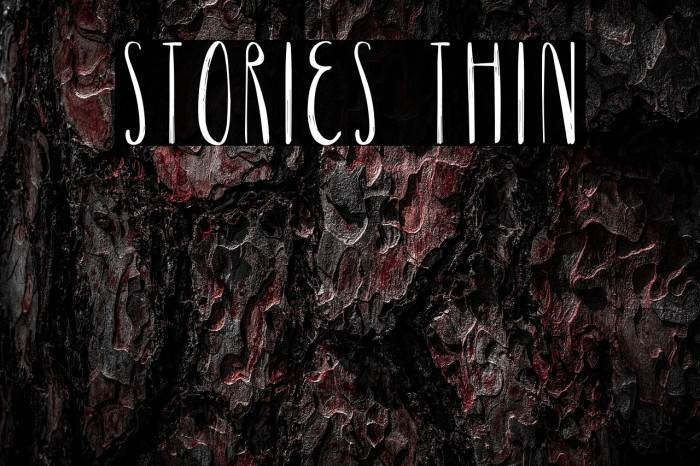 Stories Thin Example 2