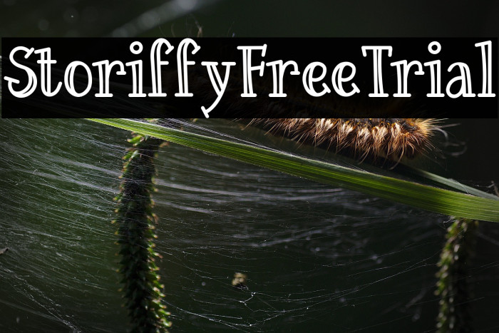 Storiffy Free Trial Example 1