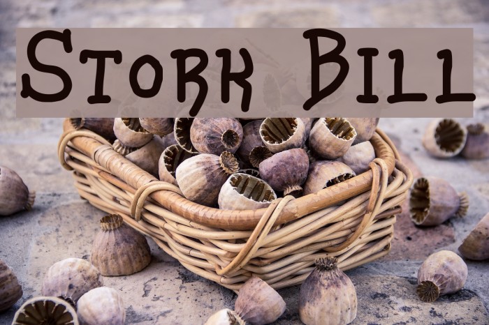 Stork Bill Font examples