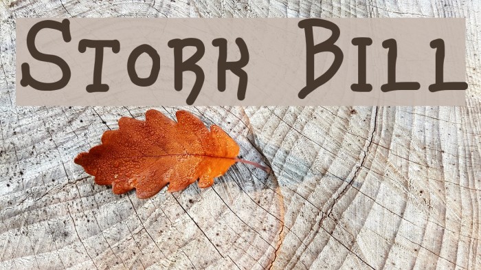 Stork Bill Font examples