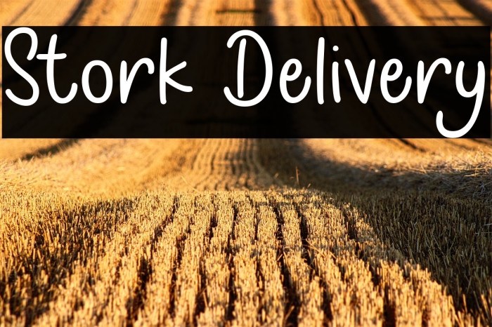 Stork Delivery Example 1