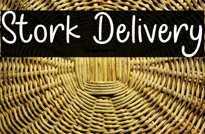 Stork Delivery Example 2