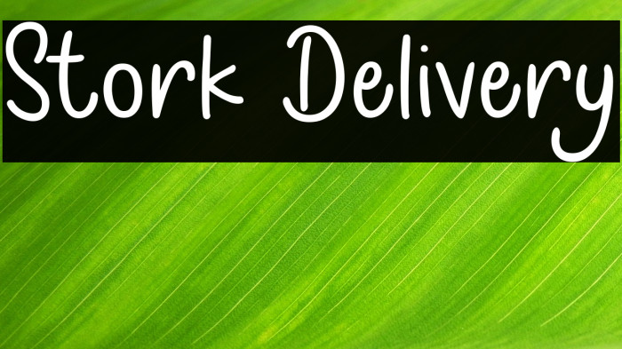 Stork Delivery Example 3