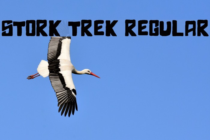 Stork Trek Regular Font examples