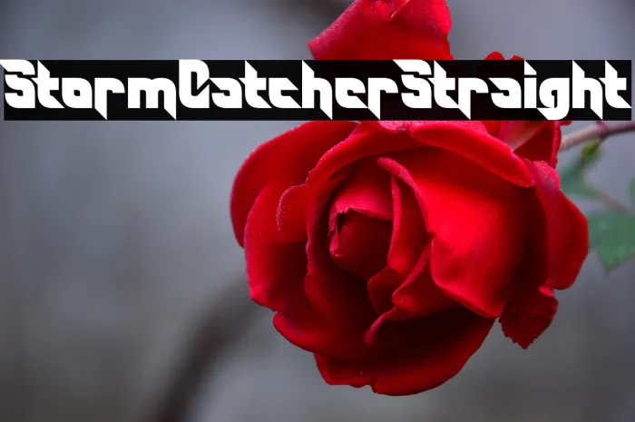 Storm Catcher Straight Example 2