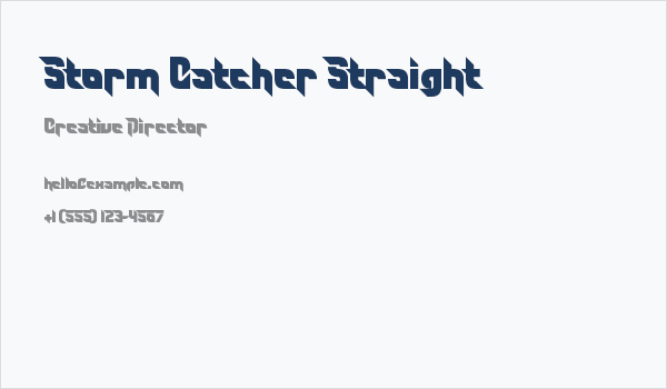 Storm Catcher Straight Business Card
