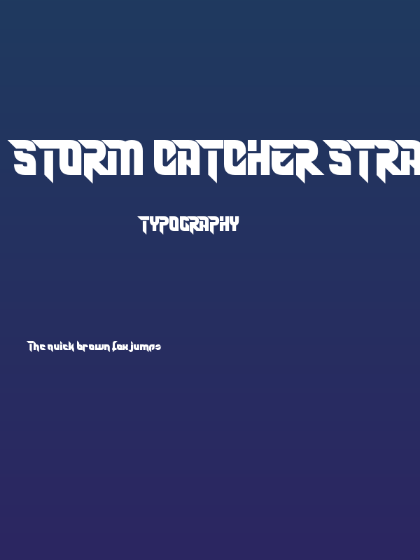 Storm Catcher Straight Poster